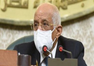 رئيس مجلس النواب علي عبد العال